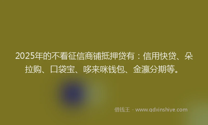 2025年的不看征信商铺抵押贷有：信用快贷、朵拉购、口袋宝、哆来咪钱包、金瀛分期等。