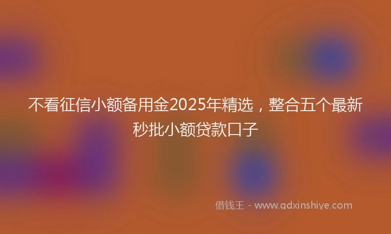 不看征信小额备用金2025年精选，整合五个最新秒批小额贷款口子