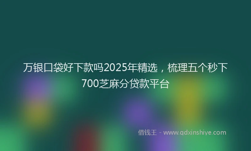 万银口袋好下款吗2025年精选，梳理五个秒下700芝麻分贷款平台