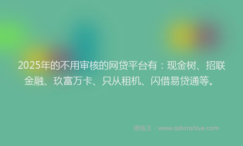 2025年的不用审核的网贷平台有：现金树、招联金融、玖富万卡、只从租机、闪借易贷通等。