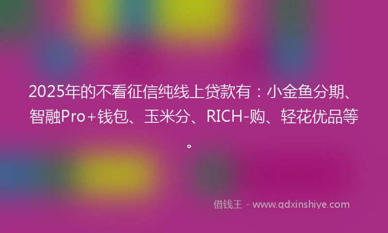 2025年的不看征信纯线上贷款有：小金鱼分期、智融Pro+钱包、玉米分、RICH-购、轻花优品等。