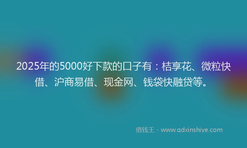 2025年的5000好下款的口子有：桔享花、微粒快借、沪商易借、现金网、钱袋快融贷等。