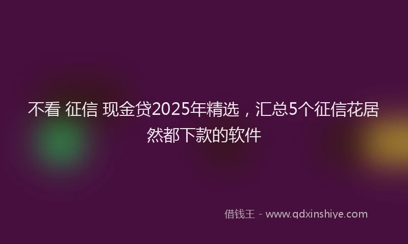 不看 征信 现金贷2025年精选，汇总5个征信花居然都下款的软件