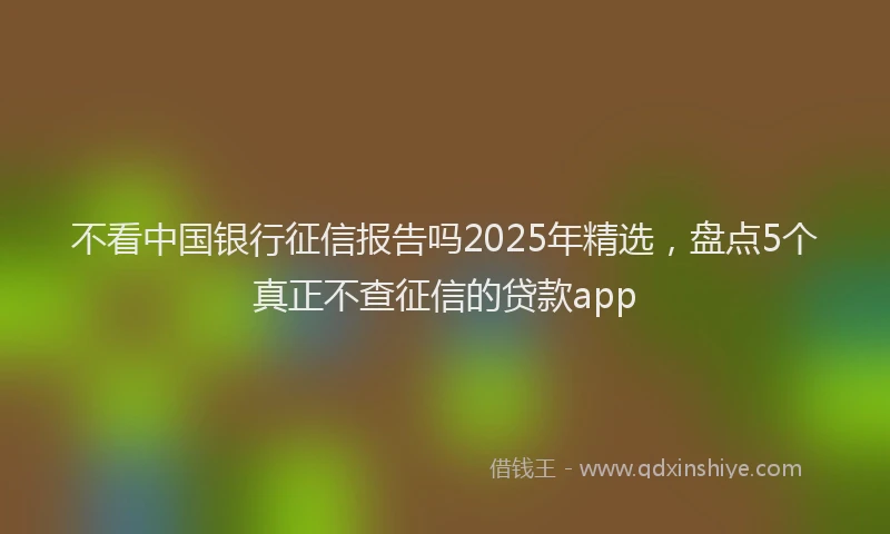 不看中国银行征信报告吗2025年精选，盘点5个真正不查征信的贷款app