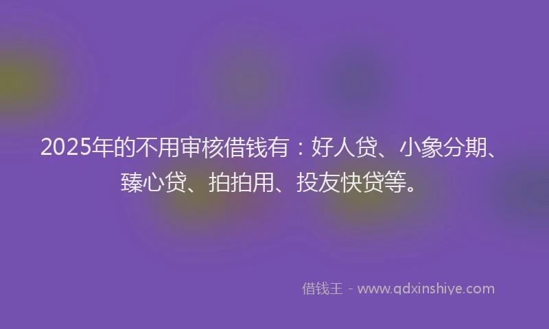 2025年的不用审核借钱有：好人贷、小象分期、臻心贷、拍拍用、投友快贷等。