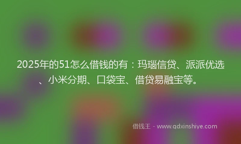 2025年的51怎么借钱的有：玛瑙信贷、派派优选、小米分期、口袋宝、借贷易融宝等。