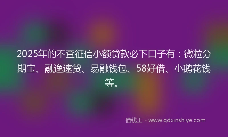 2025年的不查征信小额贷款必下口子有：微粒分期宝、融逸速贷、易融钱包、58好借、小鹅花钱等。