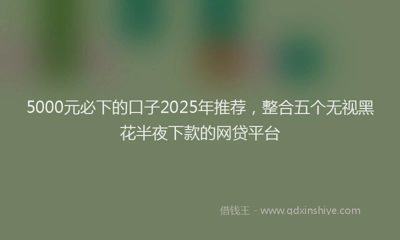 5000元必下的口子2025年推荐，整合五个无视黑花半夜下款的网贷平台