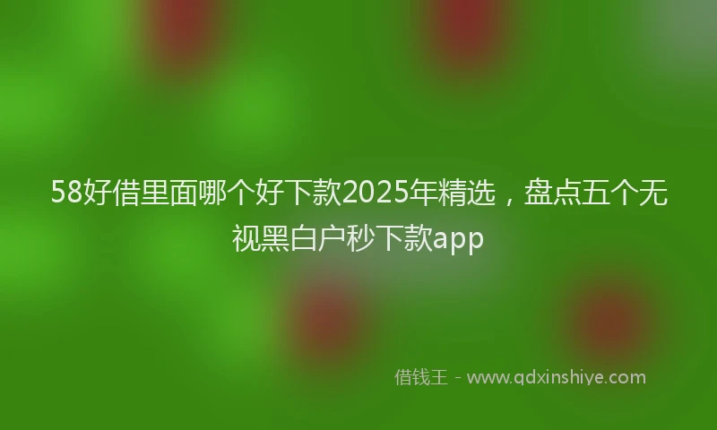 58好借里面哪个好下款2025年精选，盘点五个无视黑白户秒下款app