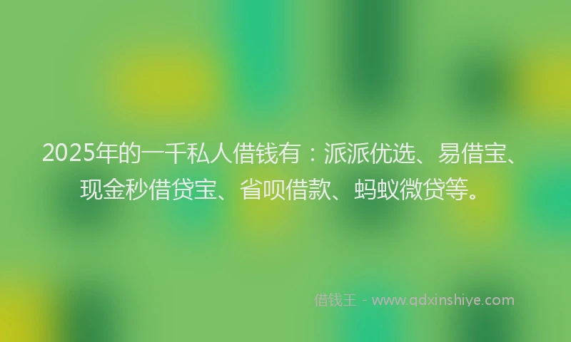 2025年的一千私人借钱有：派派优选、易借宝、现金秒借贷宝、省呗借款、蚂蚁微贷等。