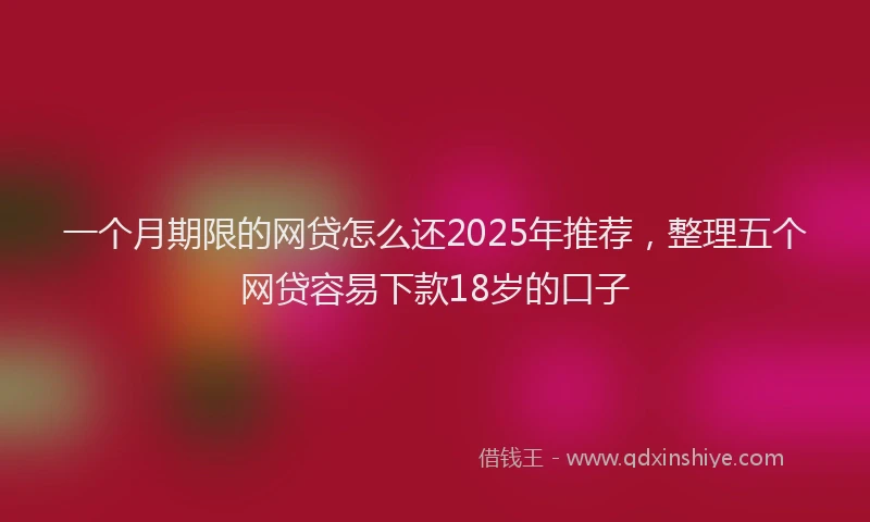 一个月期限的网贷怎么还2025年推荐，整理五个网贷容易下款18岁的口子