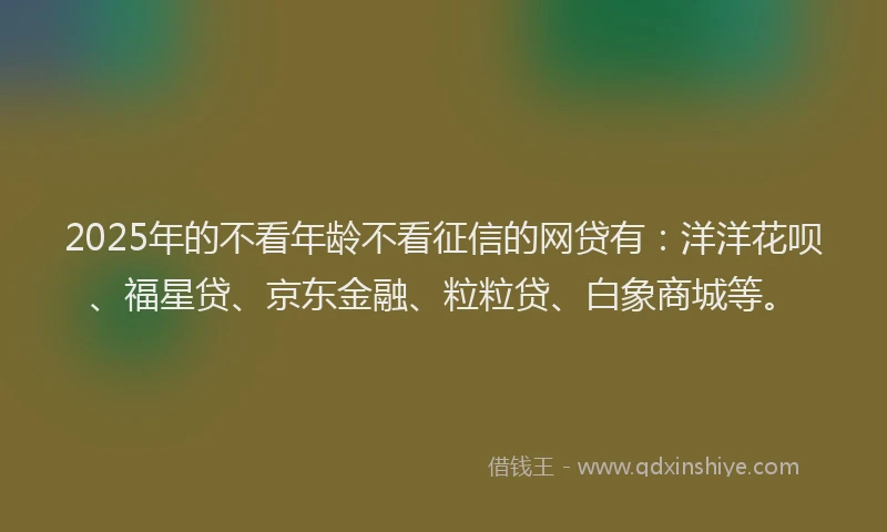 2025年的不看年龄不看征信的网贷有：洋洋花呗、福星贷、京东金融、粒粒贷、白象商城等。