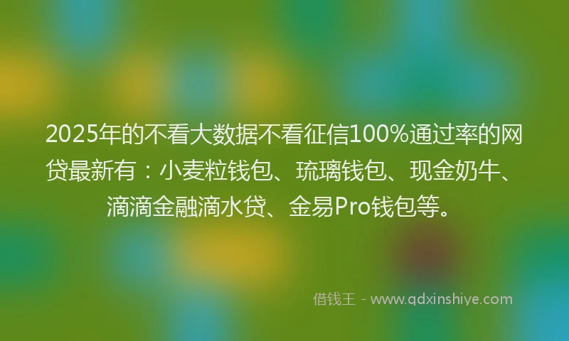 2025年的不看大数据不看征信100%通过率的网贷最新有：小麦粒钱包、琉璃钱包、现金奶牛、滴滴金融滴水贷、金易Pro钱包等。