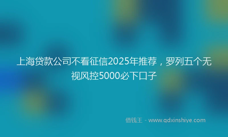 上海贷款公司不看征信2025年推荐，罗列五个无视风控5000必下口子