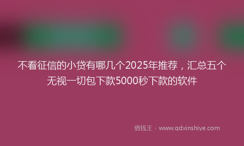 不看征信的小贷有哪几个2025年推荐，汇总五个无视一切包下款5000秒下款的软件