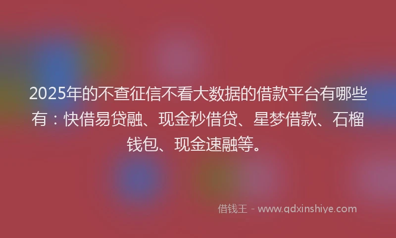 2025年的不查征信不看大数据的借款平台有哪些有：快借易贷融、现金秒借贷、星梦借款、石榴钱包、现金速融等。