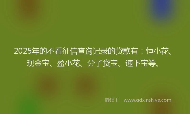2025年的不看征信查询记录的贷款有：恒小花、现金宝、盈小花、分子贷宝、速下宝等。
