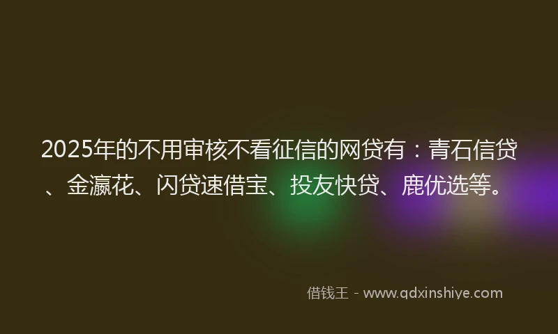 2025年的不用审核不看征信的网贷有：青石信贷、金瀛花、闪贷速借宝、投友快贷、鹿优选等。