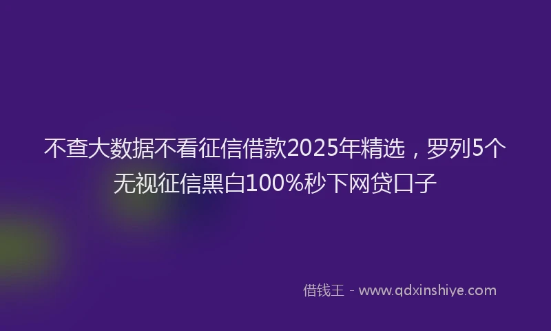 不查大数据不看征信借款2025年精选，罗列5个无视征信黑白100%秒下网贷口子