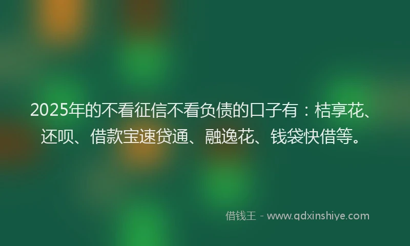 2025年的不看征信不看负债的口子有：桔享花、还呗、借款宝速贷通、融逸花、钱袋快借等。