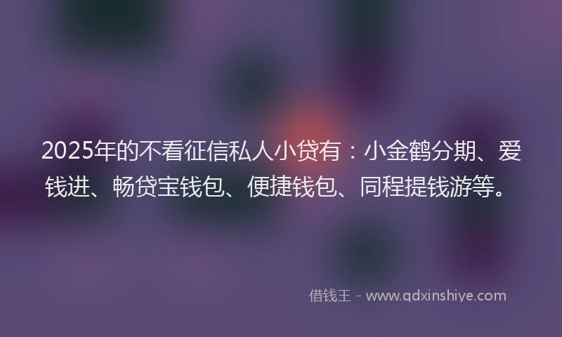 2025年的不看征信私人小贷有：小金鹤分期、爱钱进、畅贷宝钱包、便捷钱包、同程提钱游等。