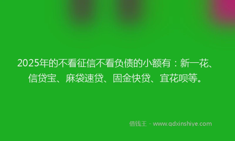 2025年的不看征信不看负债的小额有：新一花、信贷宝、麻袋速贷、固金快贷、宜花呗等。