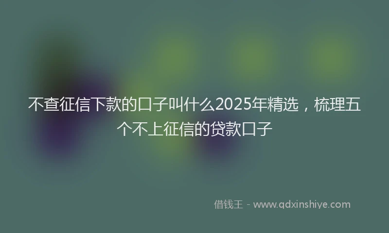 不查征信下款的口子叫什么2025年精选，梳理五个不上征信的贷款口子