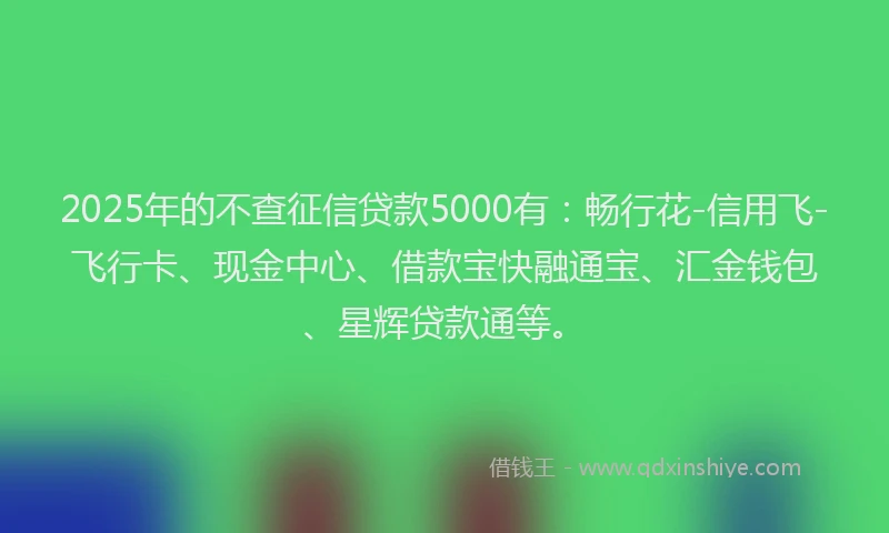2025年的不查征信贷款5000有：畅行花-信用飞-飞行卡、现金中心、借款宝快融通宝、汇金钱包、星辉贷款通等。