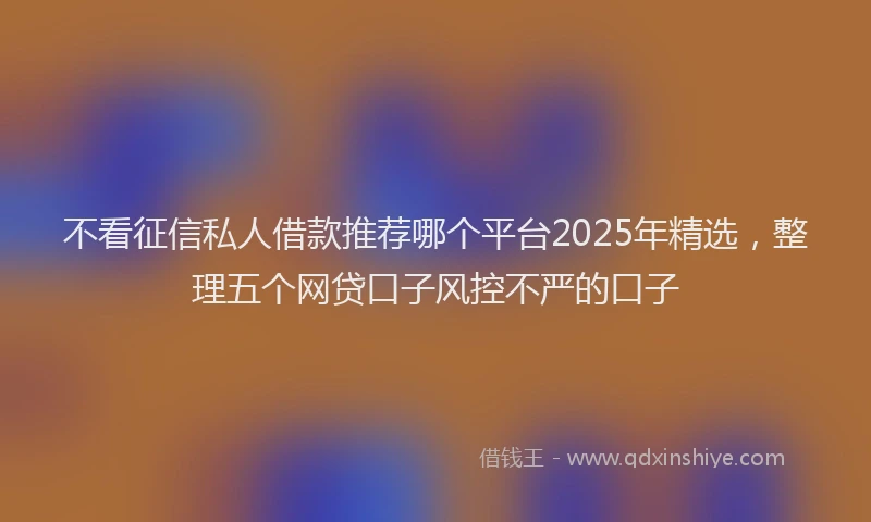 不看征信私人借款推荐哪个平台2025年精选，整理五个网贷口子风控不严的口子
