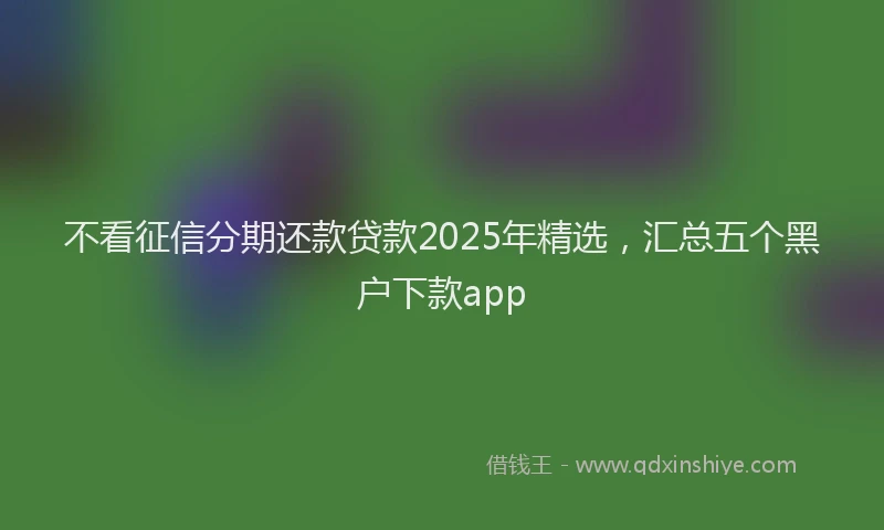 不看征信分期还款贷款2025年精选，汇总五个黑户下款app