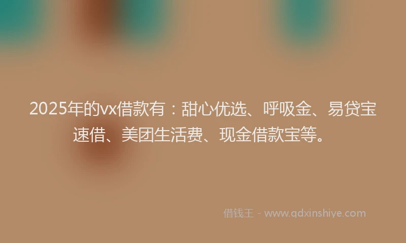 2025年的vx借款有：甜心优选、呼吸金、易贷宝速借、美团生活费、现金借款宝等。