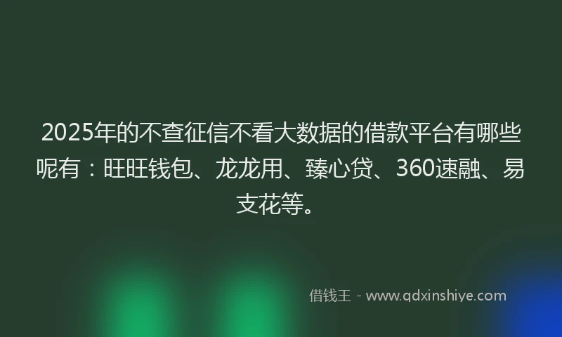 2025年的不查征信不看大数据的借款平台有哪些呢有：旺旺钱包、龙龙用、臻心贷、360速融、易支花等。