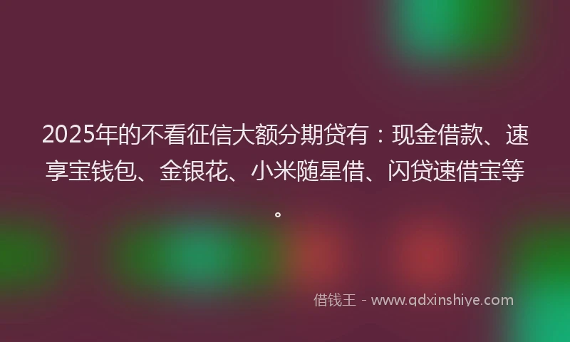 2025年的不看征信大额分期贷有：现金借款、速享宝钱包、金银花、小米随星借、闪贷速借宝等。