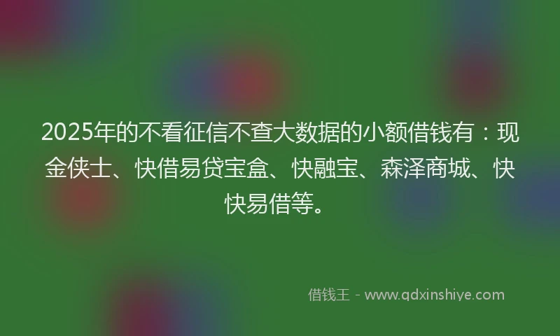 2025年的不看征信不查大数据的小额借钱有：现金侠士、快借易贷宝盒、快融宝、森泽商城、快快易借等。
