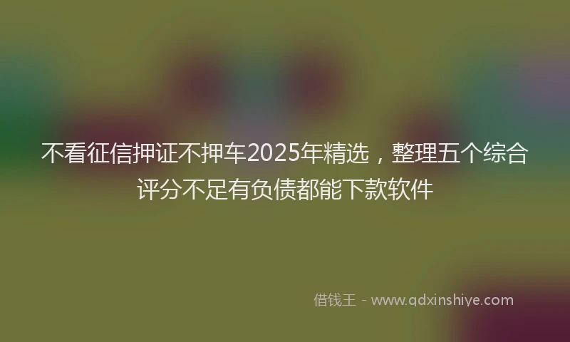 不看征信押证不押车2025年精选，整理五个综合评分不足有负债都能下款软件