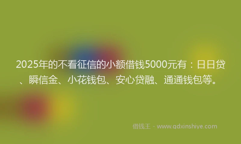 2025年的不看征信的小额借钱5000元有：日日贷、瞬信金、小花钱包、安心贷融、通通钱包等。