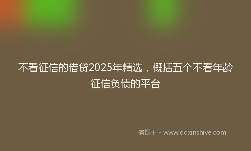 不看征信的借贷2025年精选，概括五个不看年龄征信负债的平台