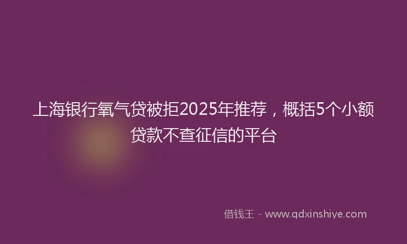 上海银行氧气贷被拒2025年推荐，概括5个小额贷款不查征信的平台