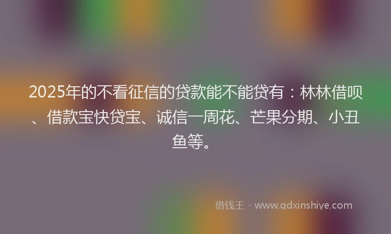 2025年的不看征信的贷款能不能贷有：林林借呗、借款宝快贷宝、诚信一周花、芒果分期、小丑鱼等。