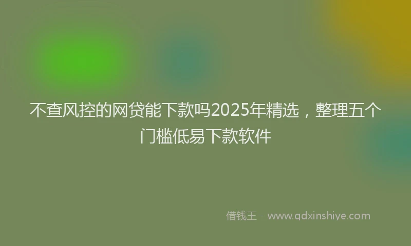 不查风控的网贷能下款吗2025年精选，整理五个门槛低易下款软件