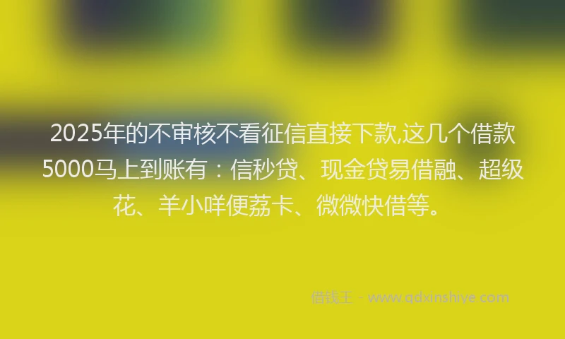2025年的不审核不看征信直接下款,这几个借款5000马上到账有：信秒贷、现金贷易借融、超级花、羊小咩便荔卡、微微快借等。
