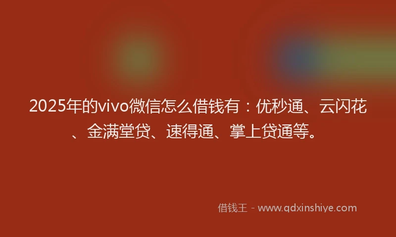 2025年的vivo微信怎么借钱有：优秒通、云闪花、金满堂贷、速得通、掌上贷通等。