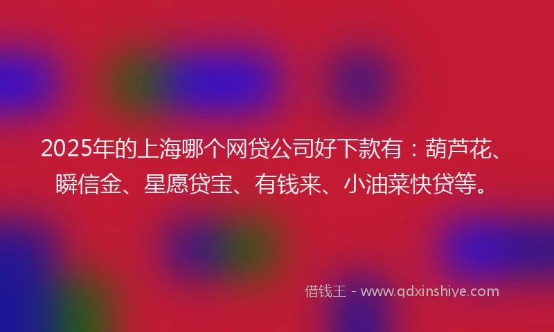 2025年的上海哪个网贷公司好下款有：葫芦花、瞬信金、星愿贷宝、有钱来、小油菜快贷等。