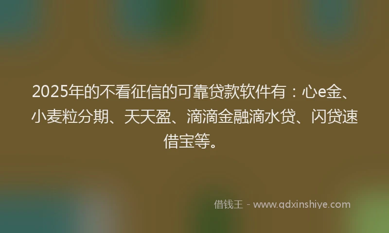 2025年的不看征信的可靠贷款软件有：心e金、小麦粒分期、天天盈、滴滴金融滴水贷、闪贷速借宝等。