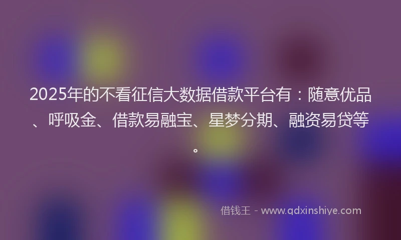2025年的不看征信大数据借款平台有：随意优品、呼吸金、借款易融宝、星梦分期、融资易贷等。