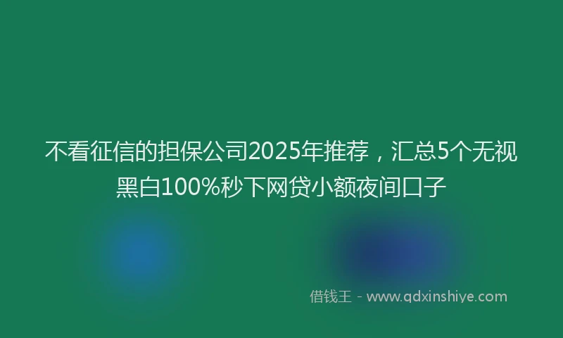 不看征信的担保公司2025年推荐，汇总5个无视黑白100%秒下网贷小额夜间口子