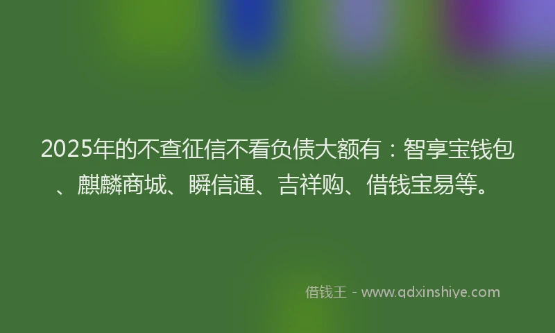 2025年的不查征信不看负债大额有：智享宝钱包、麒麟商城、瞬信通、吉祥购、借钱宝易等。