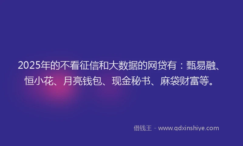 2025年的不看征信和大数据的网贷有：甄易融、恒小花、月亮钱包、现金秘书、麻袋财富等。