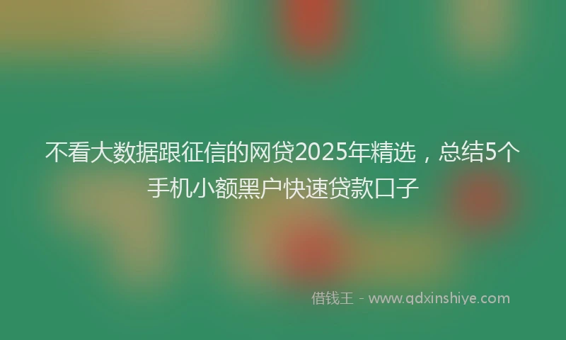 不看大数据跟征信的网贷2025年精选，总结5个手机小额黑户快速贷款口子