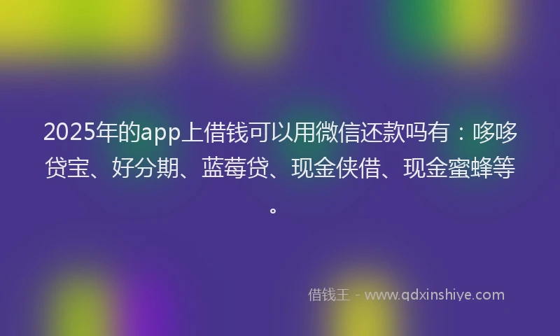 2025年的app上借钱可以用微信还款吗有：哆哆贷宝、好分期、蓝莓贷、现金侠借、现金蜜蜂等。